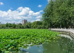 翆f?I逧?杷氁嬥萉兪?